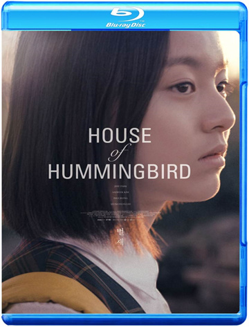 蜂鸟（2018） - 蓝光原盘封面